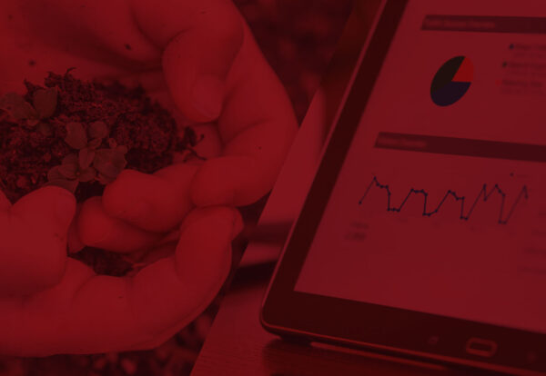 banner-auge banner-auge